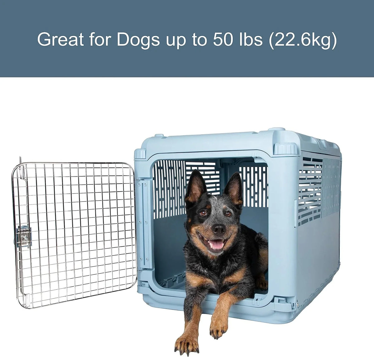 Designs Plastic Kennels Rolling Plastic Airline Approved Wire Door Travel Dog Crate, XXX-Large, Gray - image 18