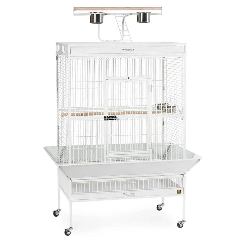 Wrought Iron Select Bird Cage 3154C, Chalk White, 36-Inch by 24-Inch by 66-Inch