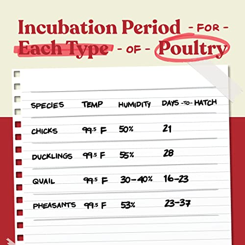 Harris Farms Nurture Right Egg Incubator for Hatching Chicks - Holds 22 Eggs - image 2