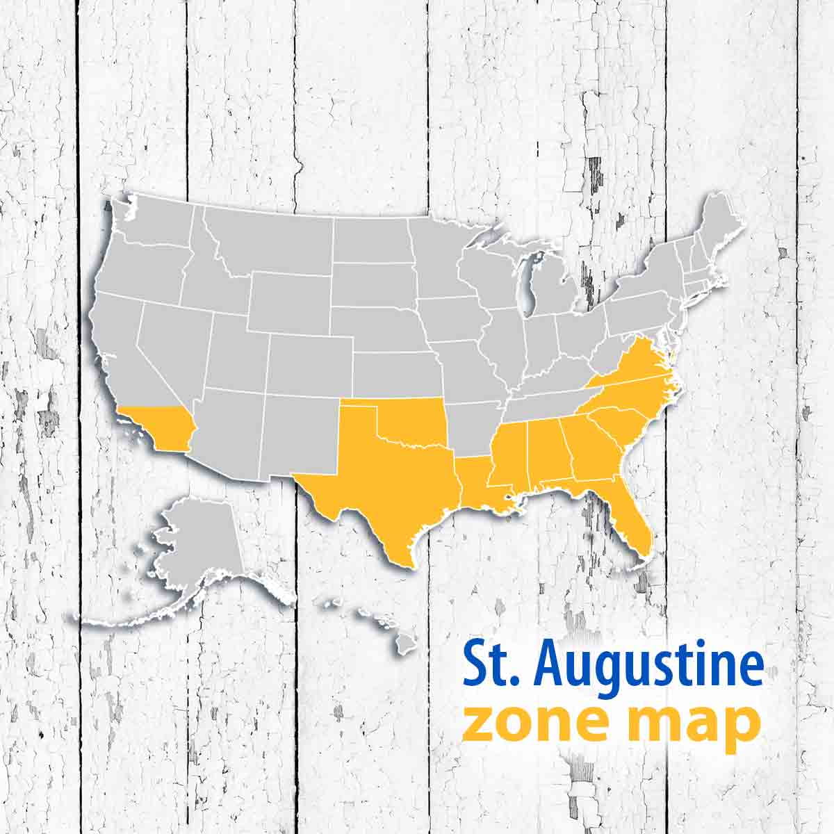 St. Augustine 500 Sq. Ft. Sod Pallet - image 2