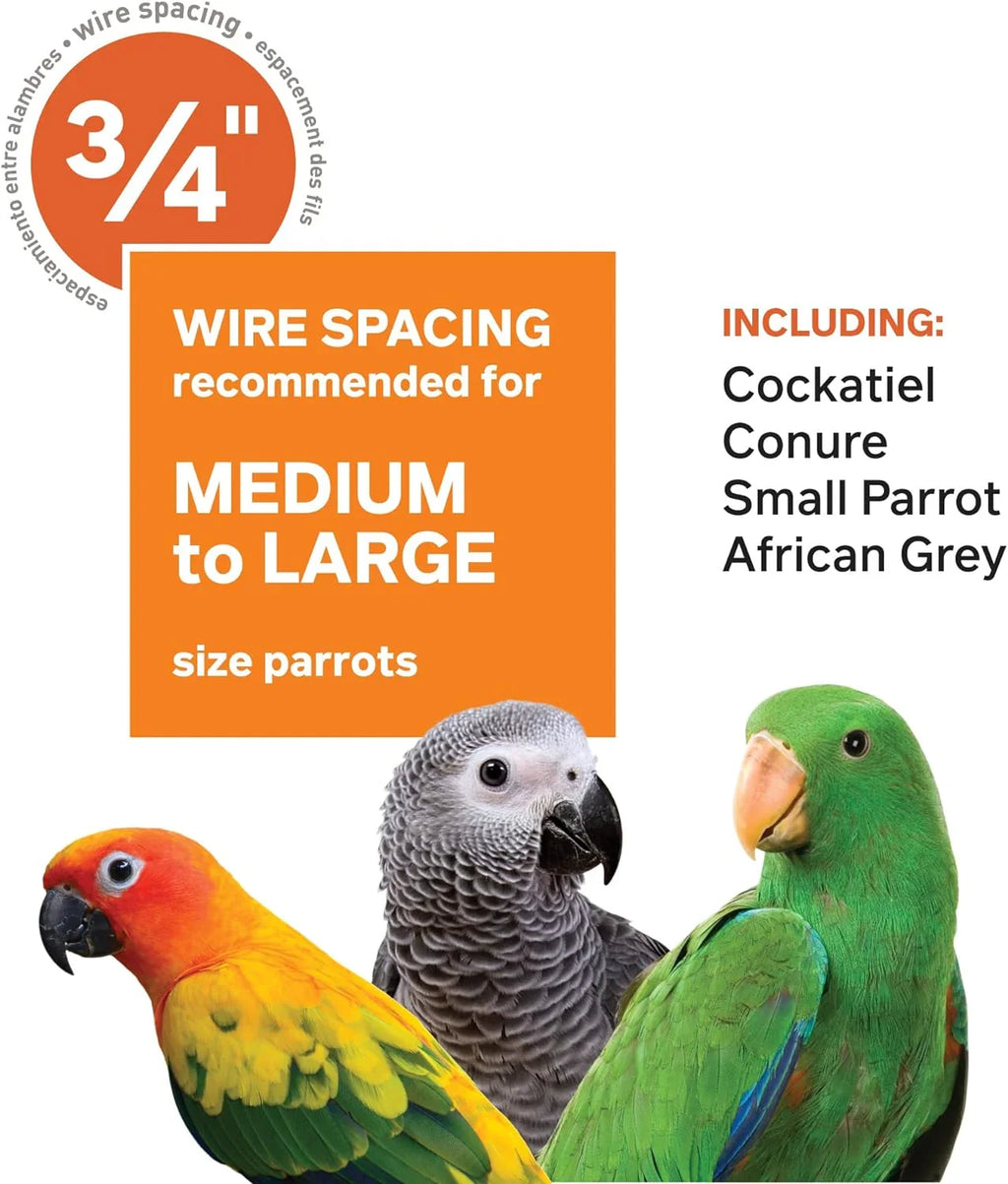 Pet Products Wrought Iron Select Bird Cage 3154C, Chalk White, 36-Inch by 24-Inch by 66-Inch