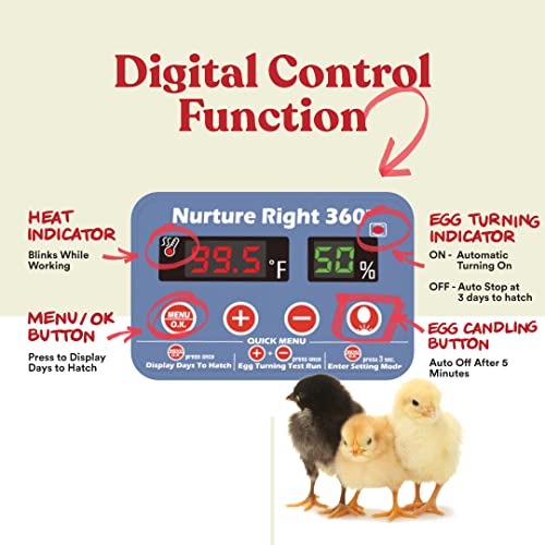Harris Farms Nurture Right Egg Incubator for Hatching Chicks - Holds 22 Eggs - image 6