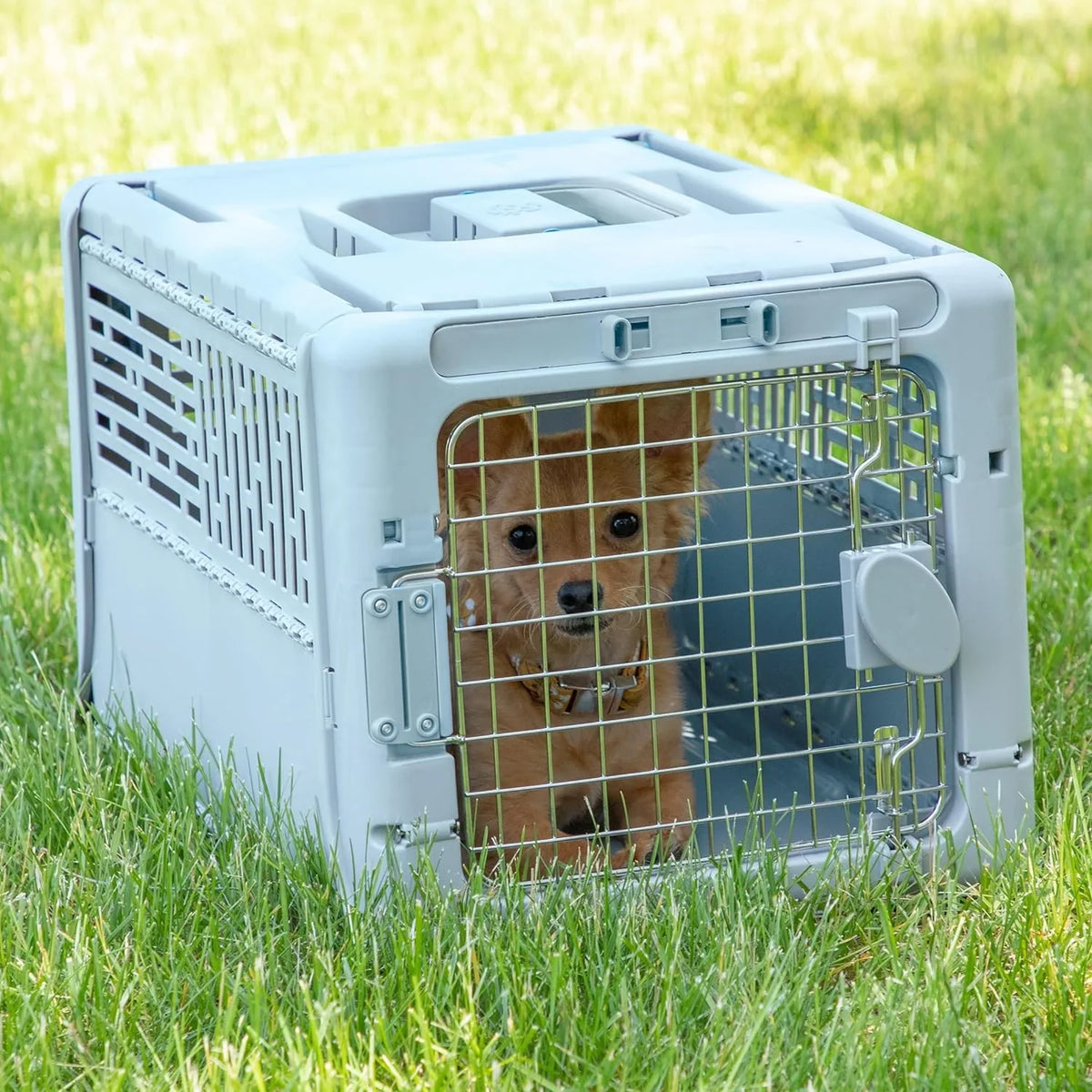 Designs Plastic Kennels Rolling Plastic Airline Approved Wire Door Travel Dog Crate, XXX-Large, Gray - image 35