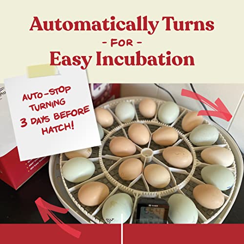 Harris Farms Nurture Right Egg Incubator for Hatching Chicks - Holds 22 Eggs - image 4