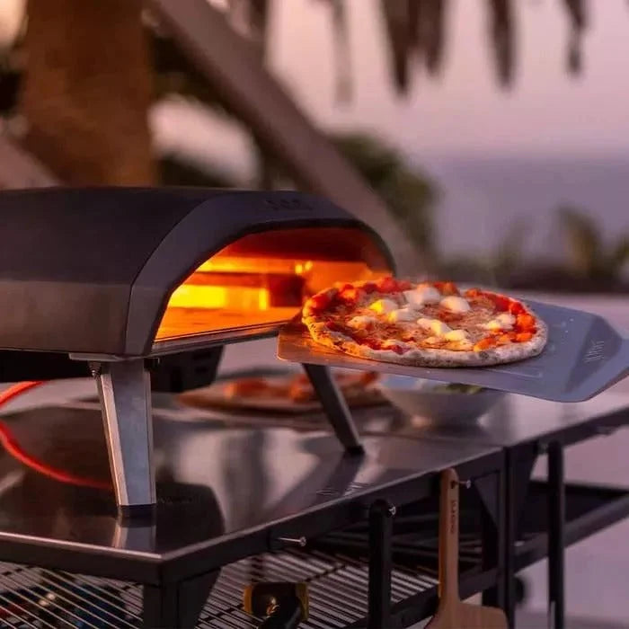 Gas Powered Pizza Oven - image 5