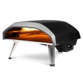 Gas Powered Pizza Oven - image 1