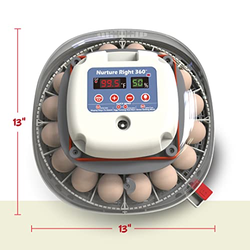 Harris Farms Nurture Right Egg Incubator for Hatching Chicks - Holds 22 Eggs - image 8