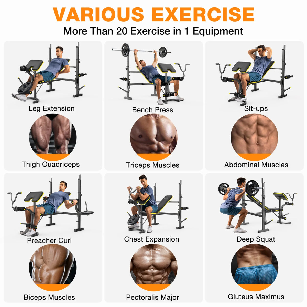 Weight Bench, Blacksmith 1100 lb 6 - in - 1 Workout Bench Press with Squat Rack Leg Developer Preacher Curl Butterfly Arms, Gym Exercise Equipment for Full Body Home Gym - image 2