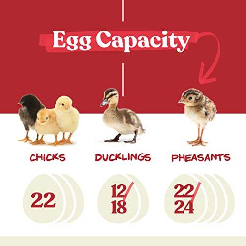 Harris Farms Nurture Right Egg Incubator for Hatching Chicks - Holds 22 Eggs - image 3