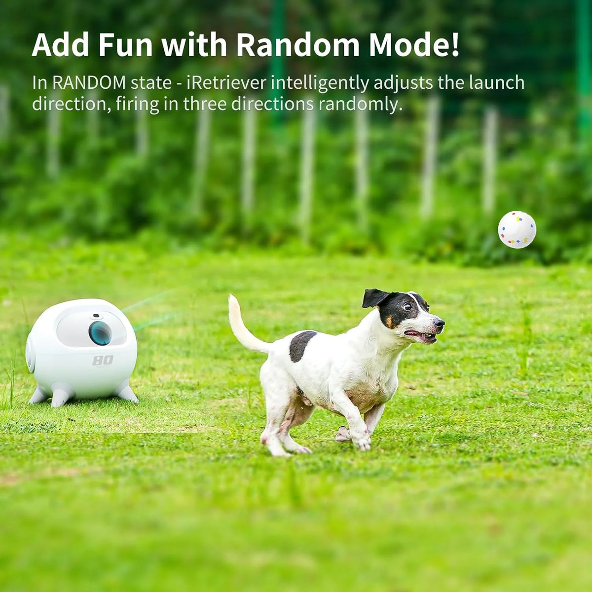 iRetriever Dog Ball Launcher with 4Pcs Balls, Automatic Obstacle Avoidance Dog Ball Launcher Suitable for Medium & Large Dogs - image 4