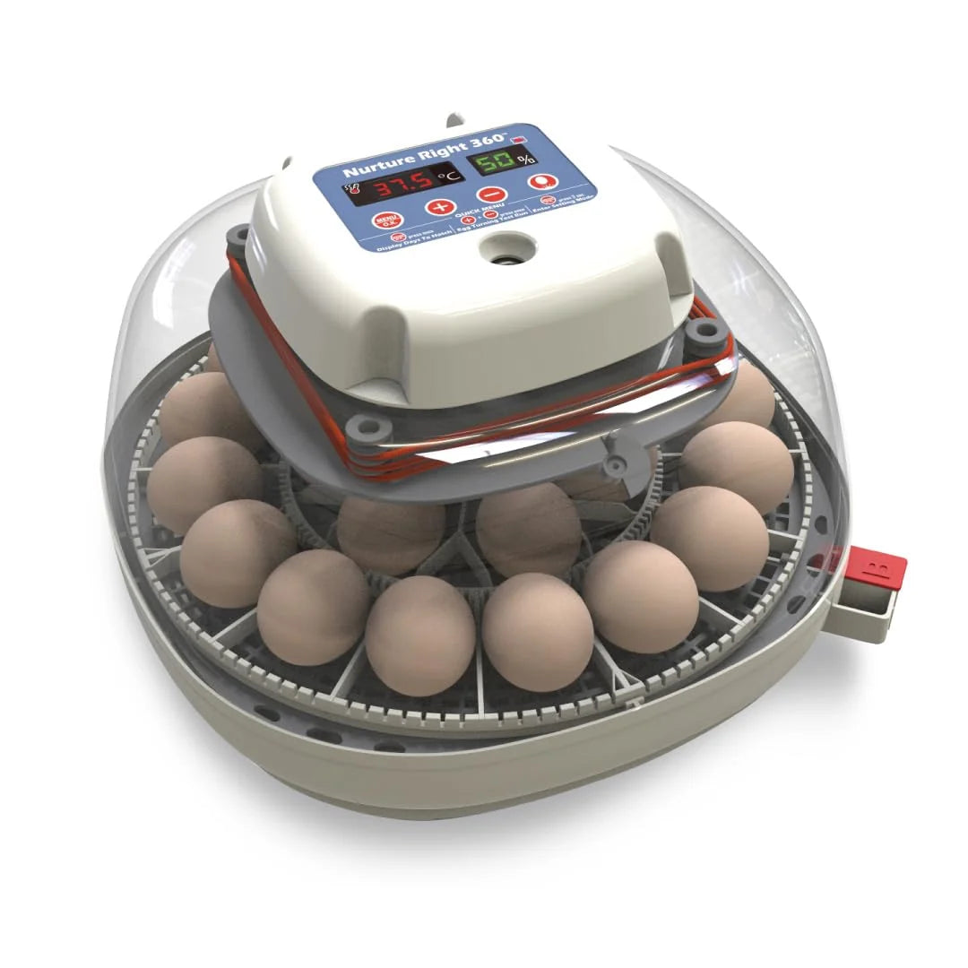 Harris Farms Nurture Right Egg Incubator for Hatching Chicks - Holds 22 Eggs - image 1