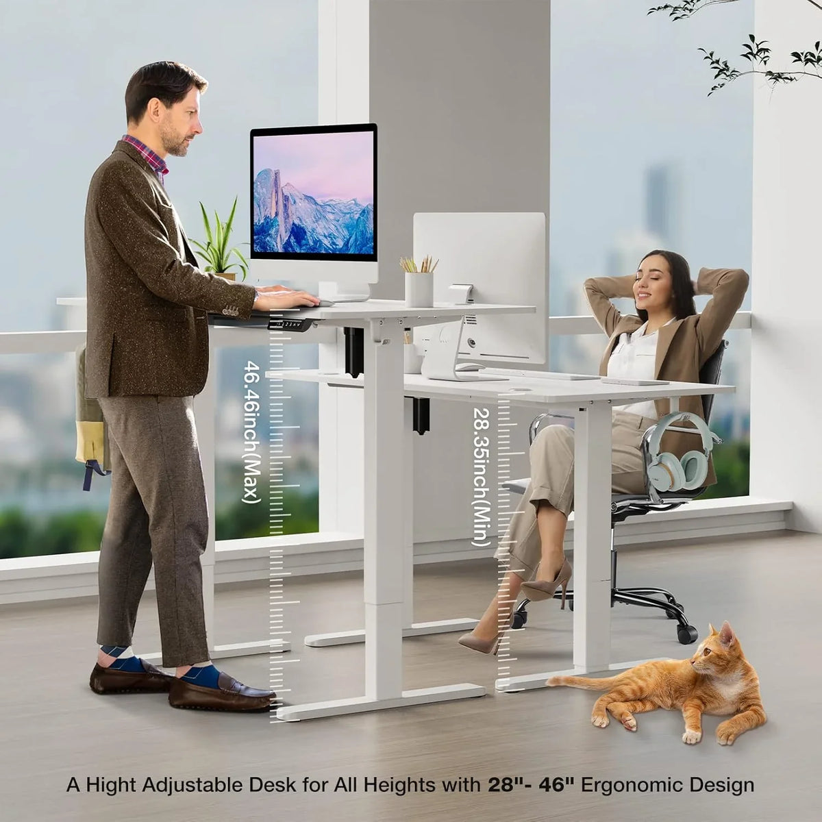 Electric Standing Desk 48 x 24 Inch Adjustable Height Electric with 3 Memory Controller