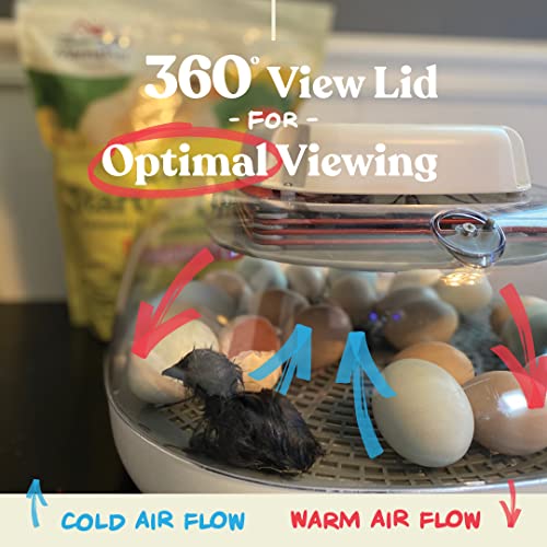 Harris Farms Nurture Right Egg Incubator for Hatching Chicks - Holds 22 Eggs - image 5