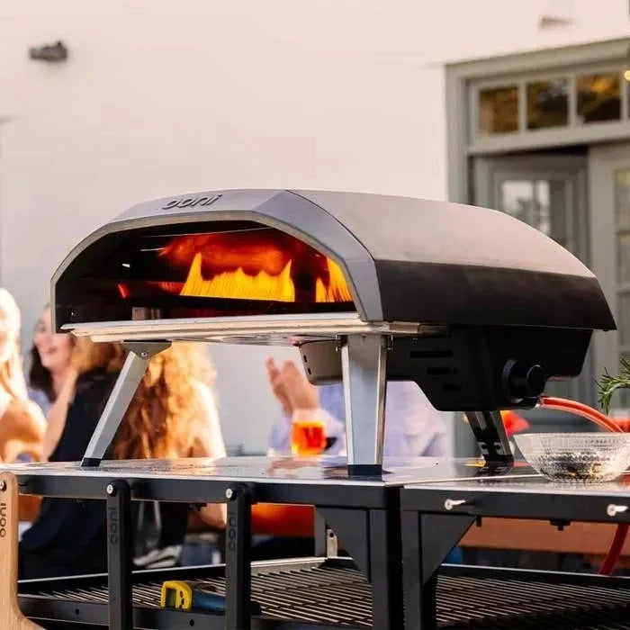 Gas Powered Pizza Oven - image 4